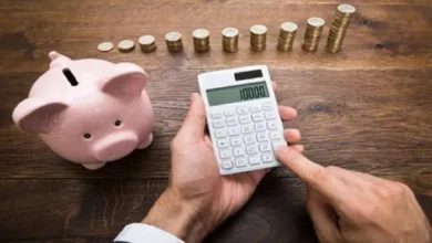 Fractional Investment, Risk, Return,