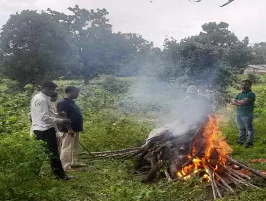 तेंदुए का शव, गरियाबंद, Gariaband News,Leopard's body, Gariaband, Gariaband News,