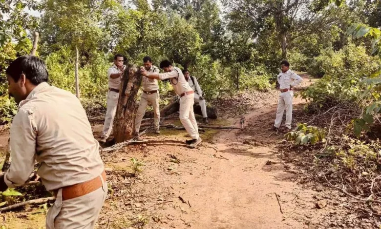 CG BREAKING,वन विभाग , उड़नदस्ता टीमों, खिलाफ, मामला , Raipur,रायपुर, वन ,जलवायु परिवर्तन, मंत्री केदार कश्यप , निर्देश ,राज्य ,वन भूमि ,CG BREAKING, Forest Department, Flying Squad Teams, Against, Case, Raipur, Forest, Climate Change, Minister Kedar Kashyap, Instructions, State, Forest Land,