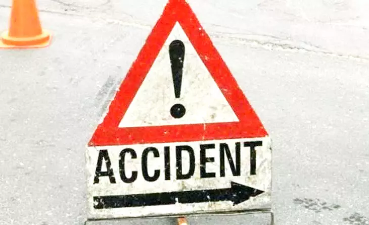 18 गायों , मौत, रौंदकर, अज्ञात वाहन ड्राइवर, फरार, बिलासपुर, bilaspur news,18 cows, died, trampled, unknown vehicle driver, absconding, Bilaspur, bilaspur news,