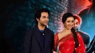 Stree , सुशांत राजपूत, काई पो चे ,श्रद्धा,राजकुमार,Stree, Sushant Rajput, Kai Po Che, Shraddha, Rajkumar,