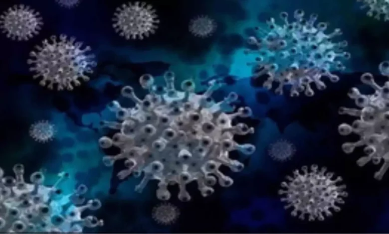 Covid लक्षणों, New Delhi, नई दिल्ली, नए अध्ययन , कोविड-19 संक्रमण , दीर्घकालिक शारीरिक , मानसिक प्रभावों , ब्रेनस्टेम - मस्तिष्क ,नियंत्रण केंद्र,Covid symptoms, New Delhi, New Delhi, new study, Covid-19 infection, long term physical, mental effects, brainstem - brain, control center,