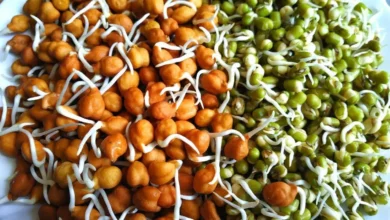 अंकुरित दालें, प्रोटीन, विटामिन , खनिज , पोषक तत्वों , लाइफ स्टाइल ,Sprouted pulses, protein, vitamins, minerals, nutrients, life style,