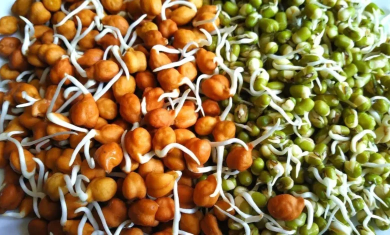 अंकुरित दालें, प्रोटीन, विटामिन , खनिज , पोषक तत्वों , लाइफ स्टाइल ,Sprouted pulses, protein, vitamins, minerals, nutrients, life style,