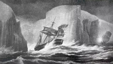 DNA विश्लेषण , फ्रैंकलिन अभियान , कैप्टन , SCIENCE ,DNA analysis, Franklin expedition, Captain, SCIENCE,