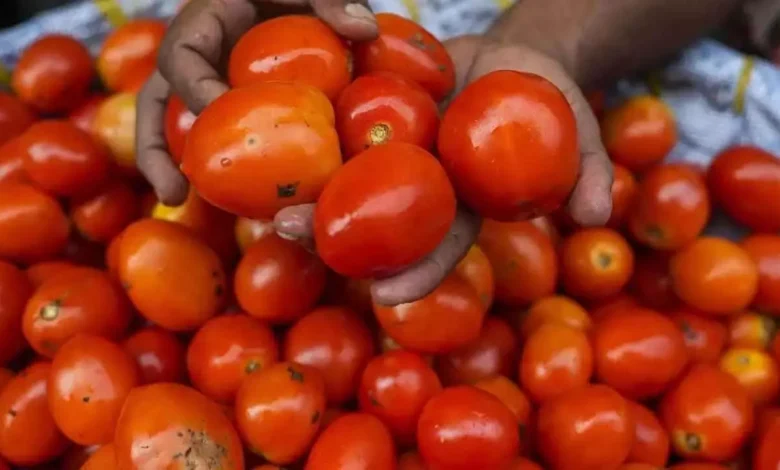 Raithu Bazaar, टमाटर , बिक्री , Guntur, गुंटूर, कृषि मंत्री अच्चन्नायडू , कृषि विपणन विभाग ,Raithu Bazaar, Tomato, Sale, Guntur, Guntur, Agriculture Minister Atchannaidu, Agriculture Marketing Department,