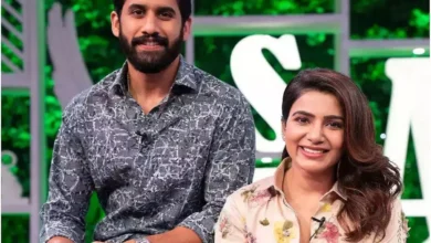 Samantha , नागा चैतन्य, तलाक , एक्टर, Entertainment, एंटरटेनमेंट,Samantha, Naga Chaitanya, divorce, actor, Entertainment, Entertainment,